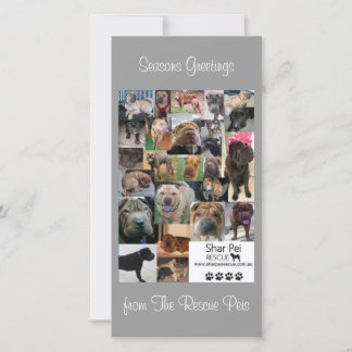 Shar Pei Rescue Xmas Card