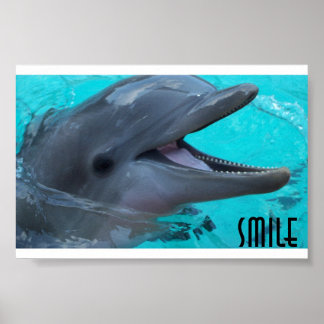 Share a Dolphin's Smile Poster