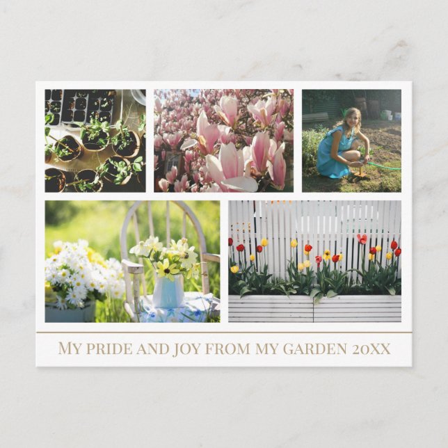 Share photos of the beauty of your garden Postcard (Front)