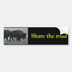 Share the road bumper sticker