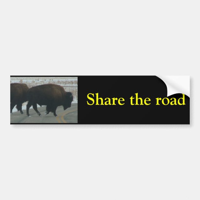 Share the road bumper sticker (Front)