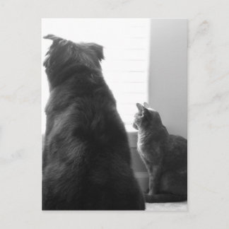 Sharing a quiet moment postcard
