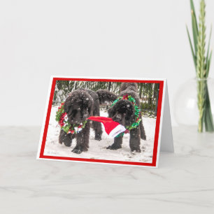 Sharing the season the Newfie Way! Holiday Card