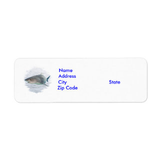 Shark