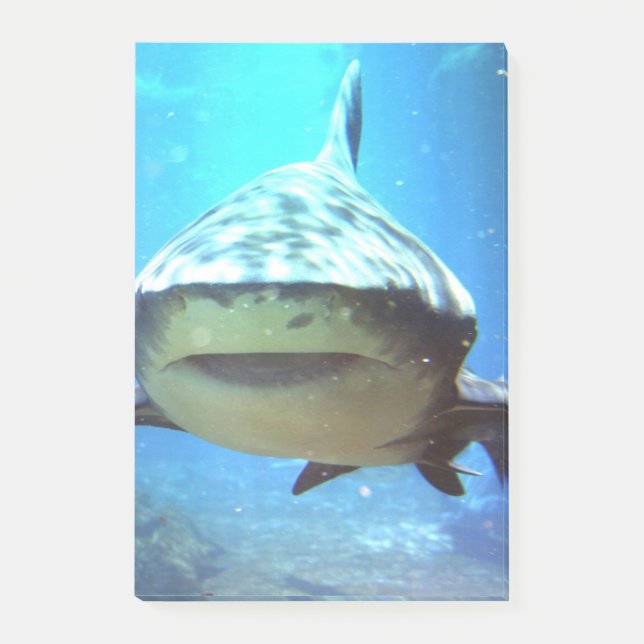 shark-5.jpg post-it notes (Front)