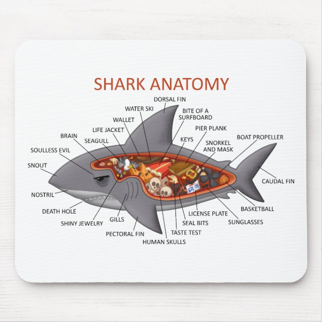 Shark Anatomy Mouse Mat (Front)