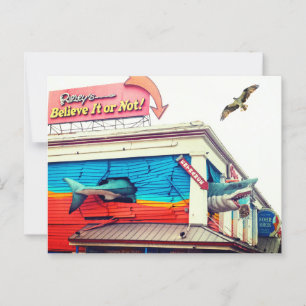 Shark and Osprey Postcard