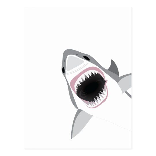 Shark Attack Postcard