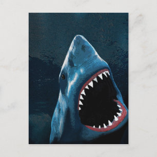 Shark attack postcard