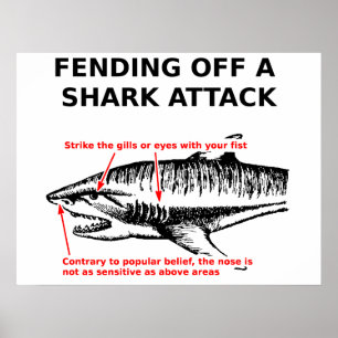 Shark Attack Poster