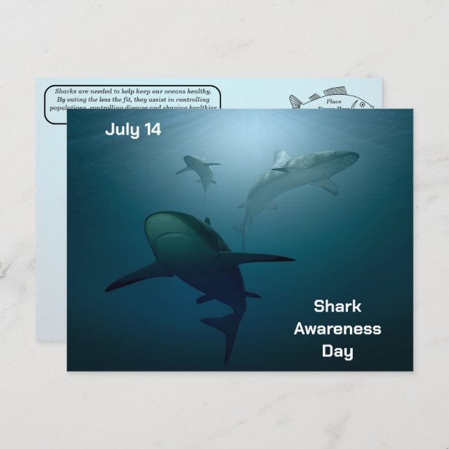 Shark Awareness Day - July 14 - Postcard (Front/Back)
