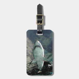 Shark Bag Tag