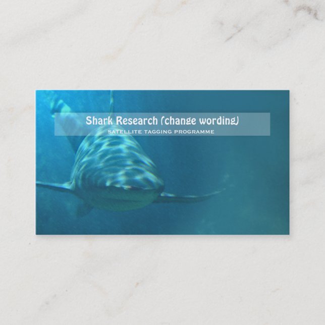 Shark biology marine research business card (Front)