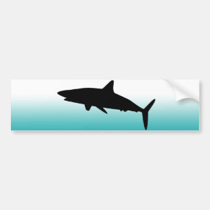 shark bumper sticker