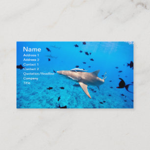 Shark Business Card