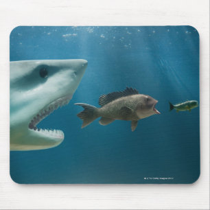 Shark chasing sea bass chasing juvenile mouse mat