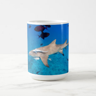 Shark Coffee Mug
