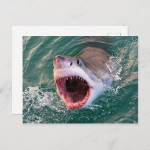 Shark Coming Out Off The Ocean Postcard