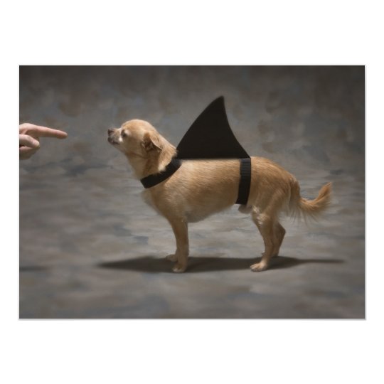Shark Dog Invitation