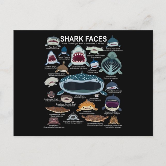 Shark Faces Which Face Do You Want To Encounter Announcement Postcard (Front)
