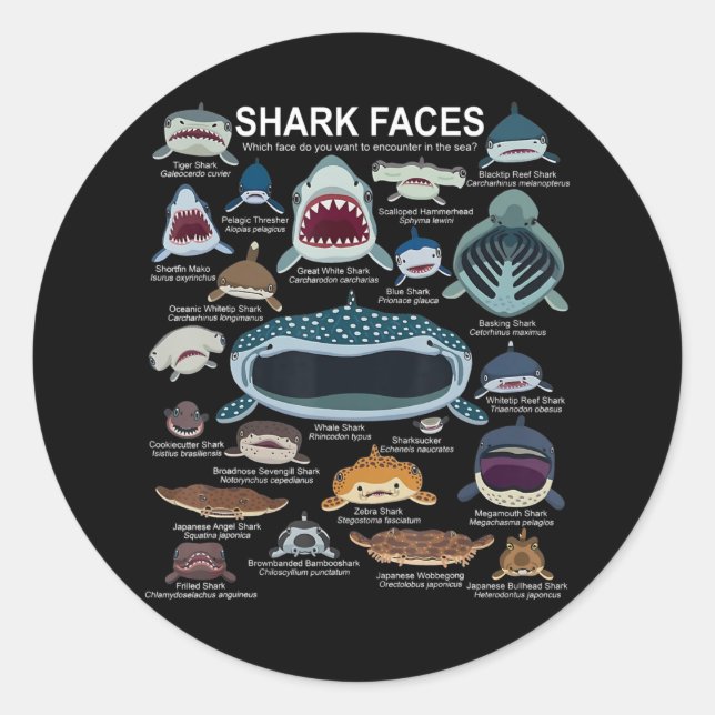 Shark Faces Which Face Do You Want To Encounter Classic Round Sticker (Front)