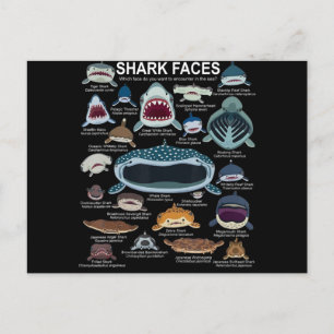 Shark Faces Which Face Do You Want To Encounter Holiday Postcard