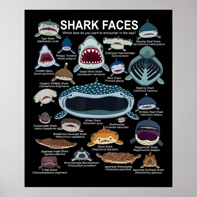 Shark Faces Which Face Do You Want To Encounter Poster (Front)