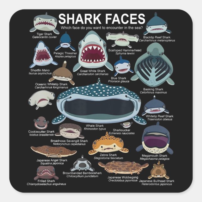 Shark Faces Which Face Do You Want To Encounter Square Sticker (Front)
