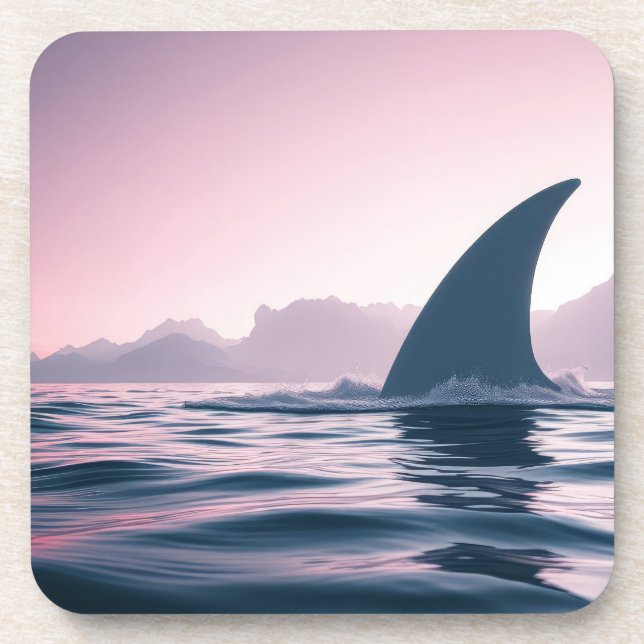 Shark Fin Power Coaster (Front)