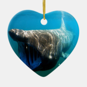 Shark Fish Ocean Tropical Ocean Destiny Gifts Ceramic Tree Decoration