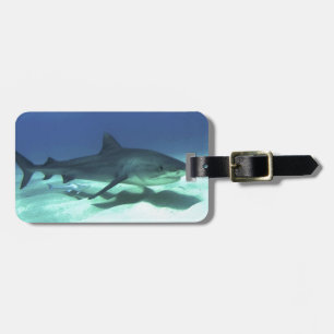 Shark Fish Ocean Tropical Ocean Destiny Gifts Luggage Tag