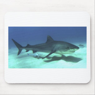 Shark Fish Ocean Tropical Ocean Destiny Gifts Mouse Mat
