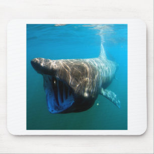 Shark Fish Ocean Tropical Ocean Destiny Gifts Mouse Mat