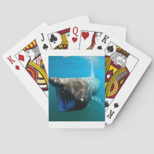 Shark Fish Ocean Tropical Ocean Destiny Gifts Playing Cards