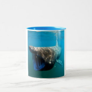 Shark Fish Ocean Tropical Ocean Destiny Gifts Two-Tone Coffee Mug