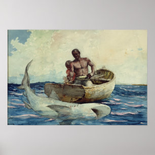 Shark Fishing, 1885 Poster