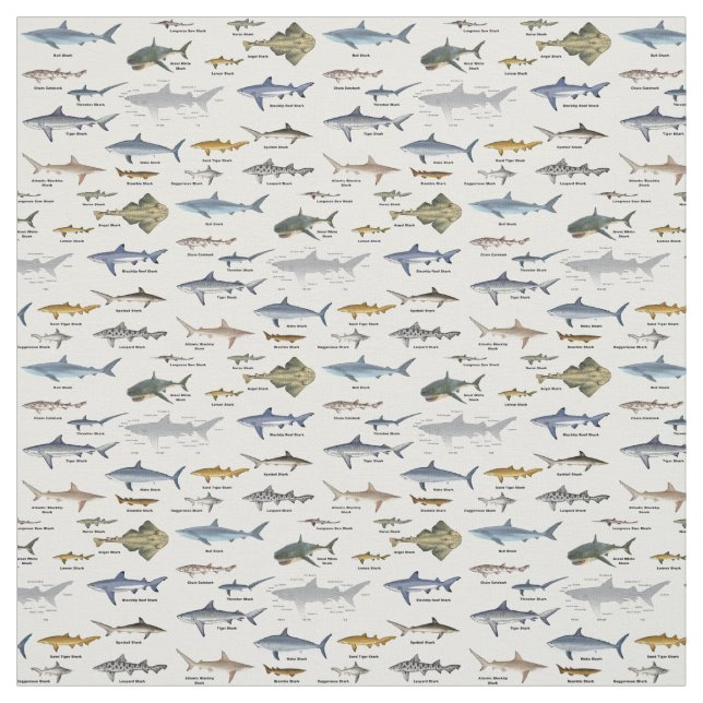 Shark Identification charts labeled Fabric (Swatch)