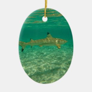 Shark in bora bora ceramic tree decoration