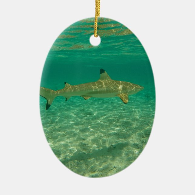 Shark in bora bora ceramic tree decoration (Front)