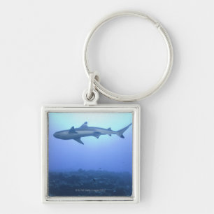 Shark in ocean, low angle view key ring