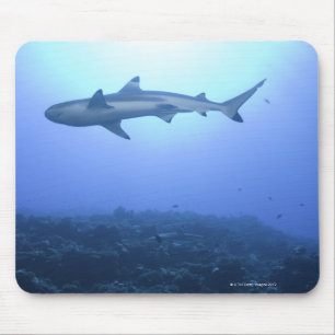 Shark in ocean, low angle view mouse mat