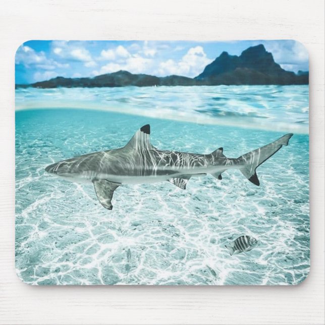 Shark in the Waters Mouse Mat (Front)