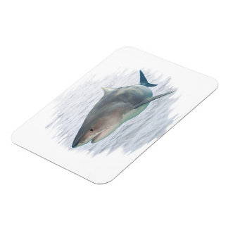 Shark in water 3X4  Premium FlexMagnet Magnet