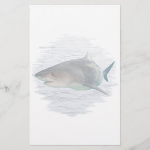 Shark in water stationery
