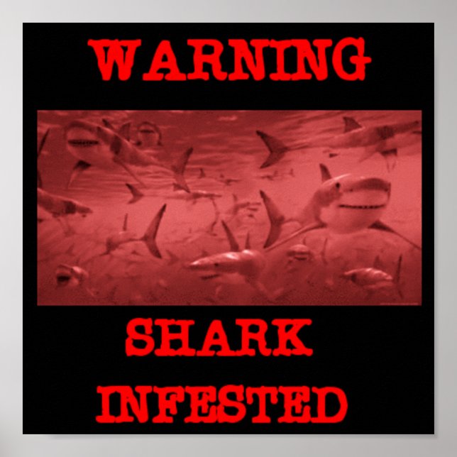 SHARK INFESTED POSTER (Front)