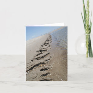 Shark Island North Carolina Outer Banks Card