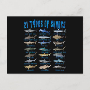Shark Lovers 21 Types Of Sharks Ocean Animal Announcement Postcard