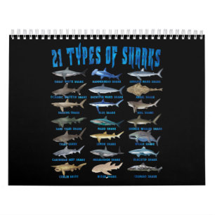 Shark Lovers 21 Types Of Sharks Ocean Animal Calendar