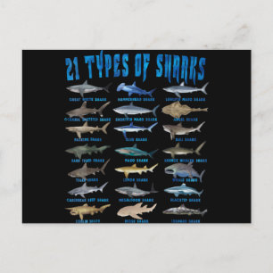 Shark Lovers 21 Types Of Sharks Ocean Animal Holiday Postcard