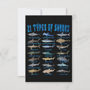 Shark Lovers 21 Types Of Sharks Ocean Animal Thank You Card